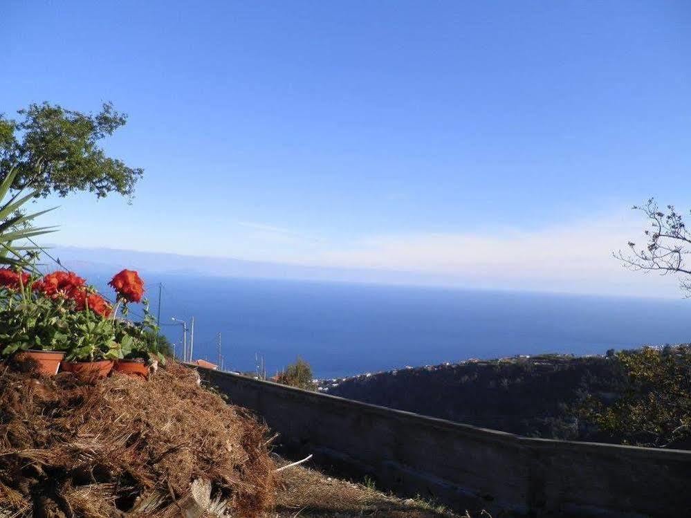 Villa Luz - Family House Vacations- Large Private Outdoor Area Σάντα Κρουζ Εξωτερικό φωτογραφία